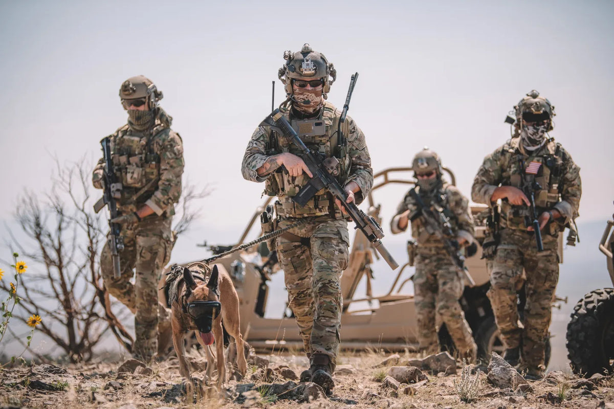 Haley Strategic team with a working dog in tactical equipment