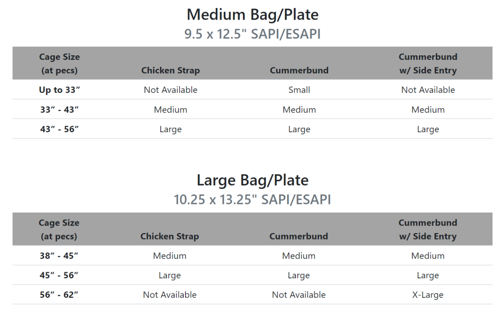 Haley Strategic Thorax Incog Plate Bags